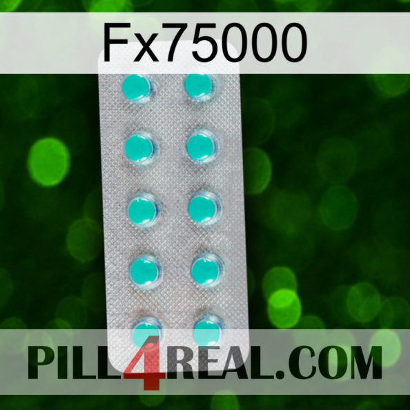 Fx75000 28